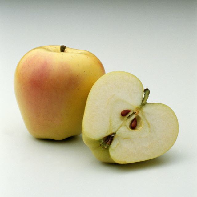 Apfel Jonagold